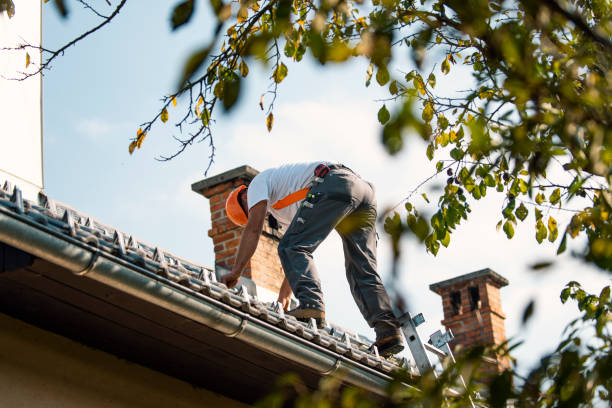 Quick and Trustworthy Emergency Roof Repair Services in Ormond Beach, FL