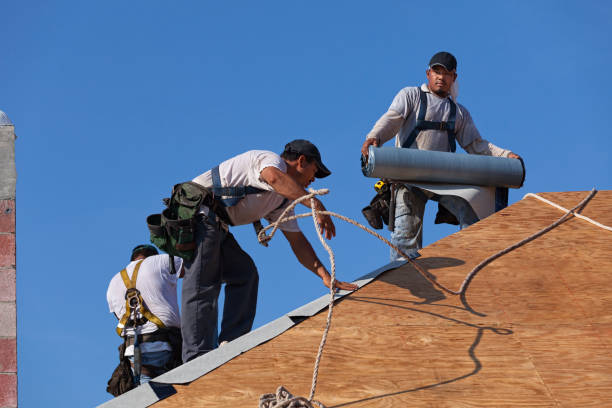 Best Metal Roofing Contractor  in Ormond Beach, FL